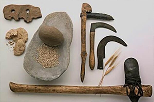 El pan en la prehistoria